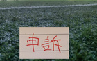 第十一期裁判评议！ 北京国安被申诉2次 申花被申诉1次